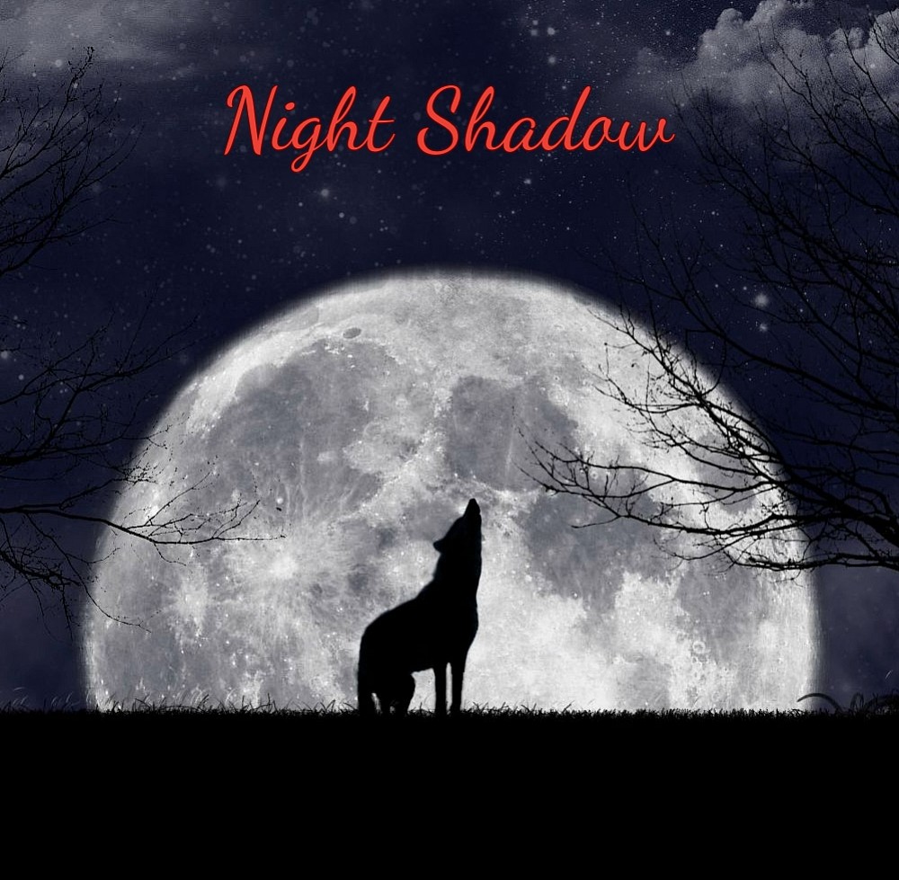 Night Shadow PDF Free Download