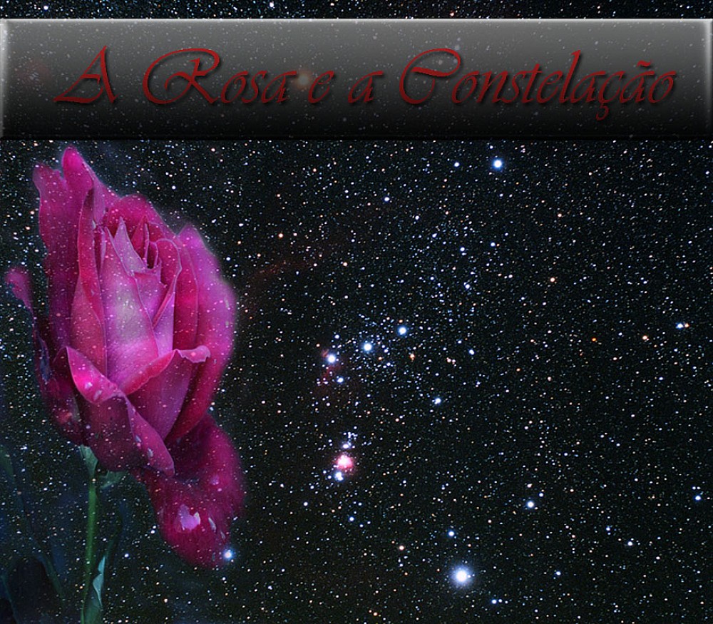 A Rosa e a Constelação.