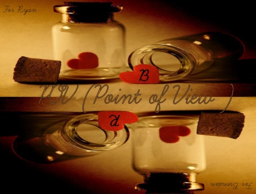 P.o.v. (point Of View)