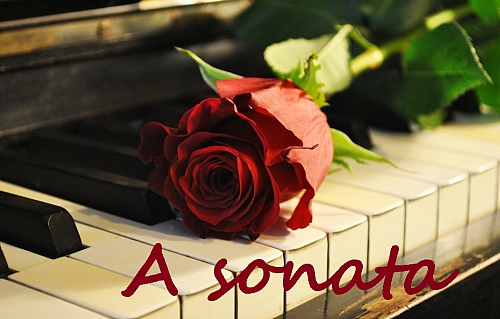 A sonata