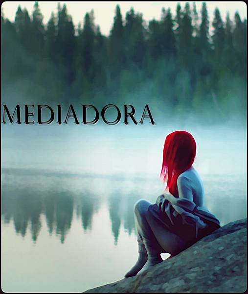 A Mediadora