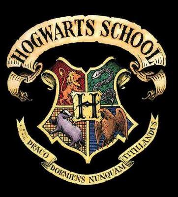 Guerreiros de Hogwarts