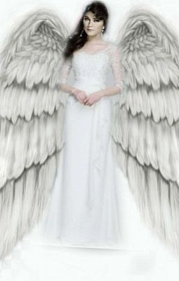 Anjo sem asas #
