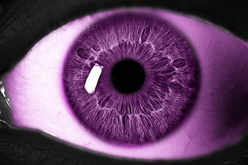 In Purple Eyes