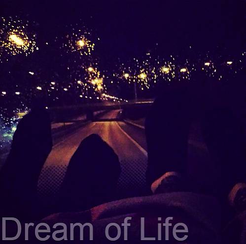 Dream of Life