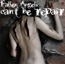 Fallen Angels Cant Be Repaired !