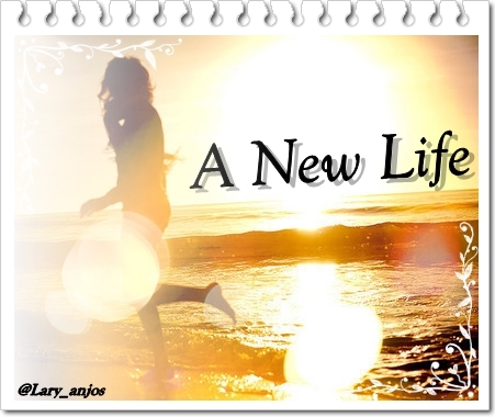 New life 2 гайд