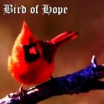 Bird Of Hope