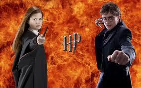 Harry Potter - Mago , Feitiço E Sabedoria