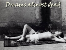 Dreams Almost Dead.