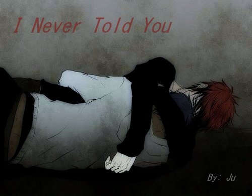 I Never Told You