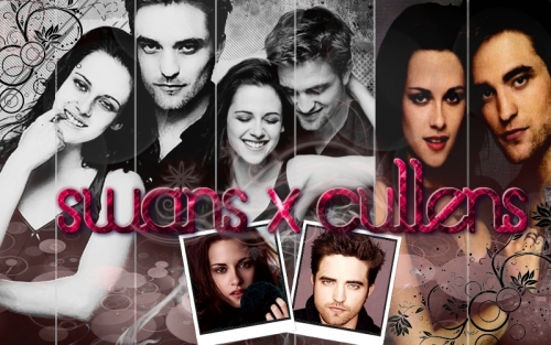 Swans X Cullens