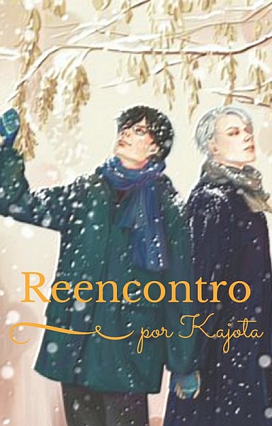 Reencontro - Harry/Draco