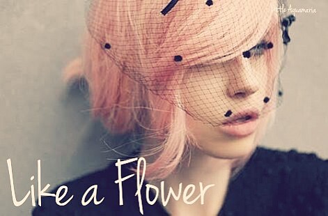 Like a Flower