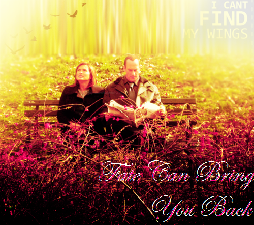 Fate Can Bring You Back